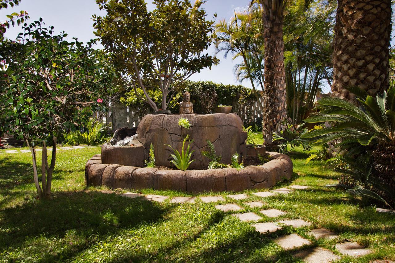 Apartamentos Adjovimar Los Llanos De Aridane Exterior photo
